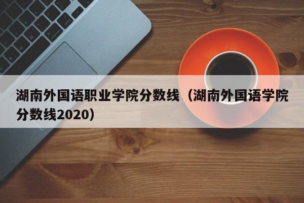 湖南外国语职业学院分数线（湖南外国语学院分数线2020）
