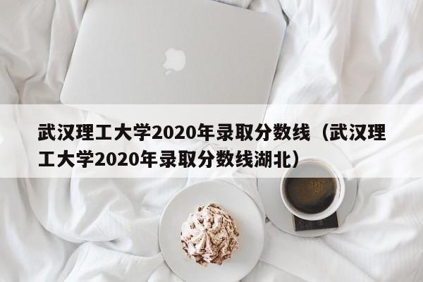 武汉理工大学2020年录取分数线（武汉理工大学2020年录取分数线湖北）