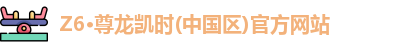 Z6尊龙